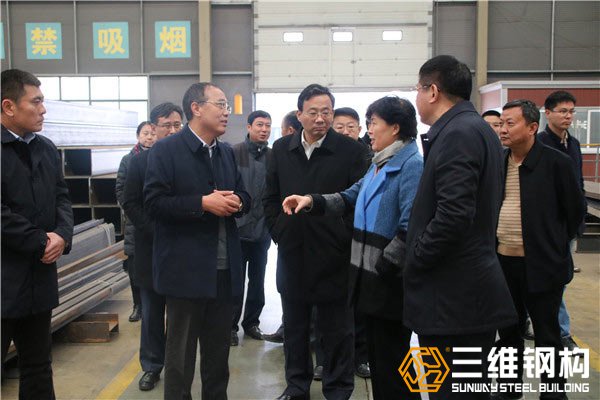 棗莊副市長霍媛媛，滕州市委書記邵士官蒞臨檢查